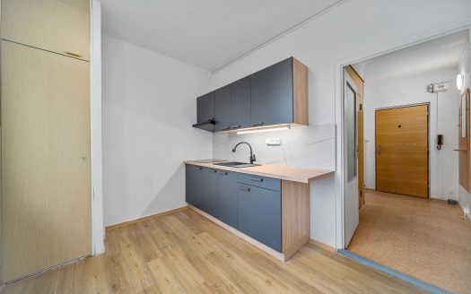 Pronájem bytu 1+1, 38m², U Potoka – Vysoké Mýto