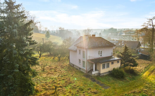 Prodej  domu Lukavice 160m2, pozemek 8536m2